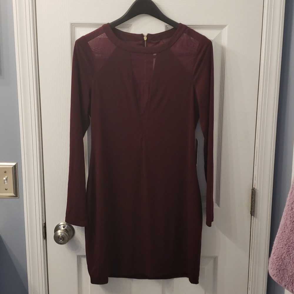 Express NWT dress, w/ shear panels